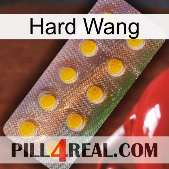 Hard Wang new11.jpg